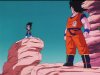 dbz30-05.jpg