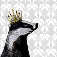 BadgerKing